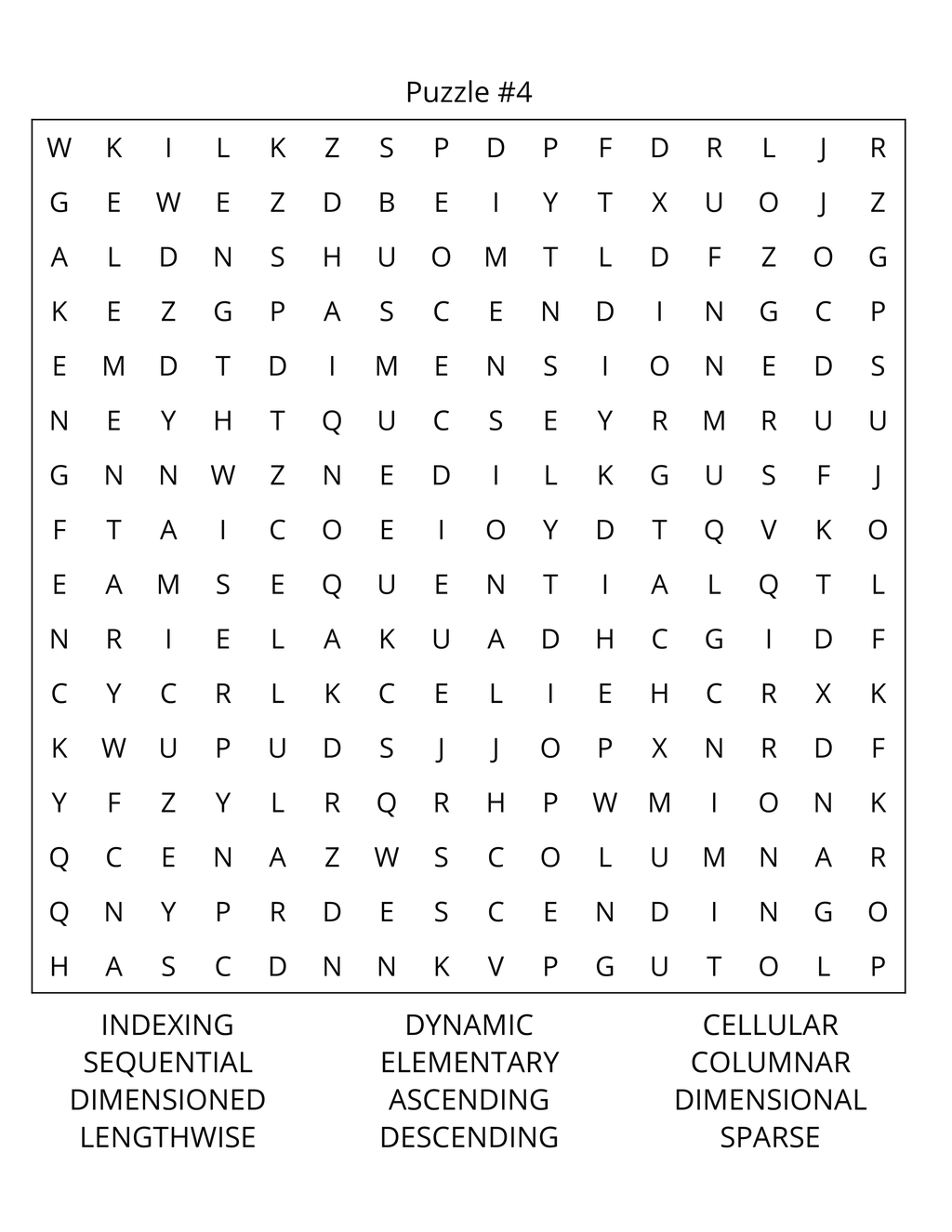 Computer Programming Word Search: Large Print