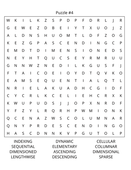 Computer Programming Word Search: Large Print