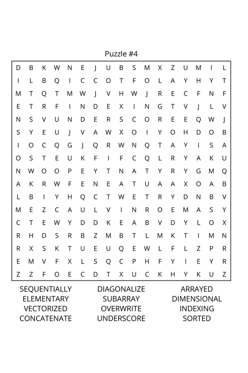Computer Programming Word Search: Travel Size