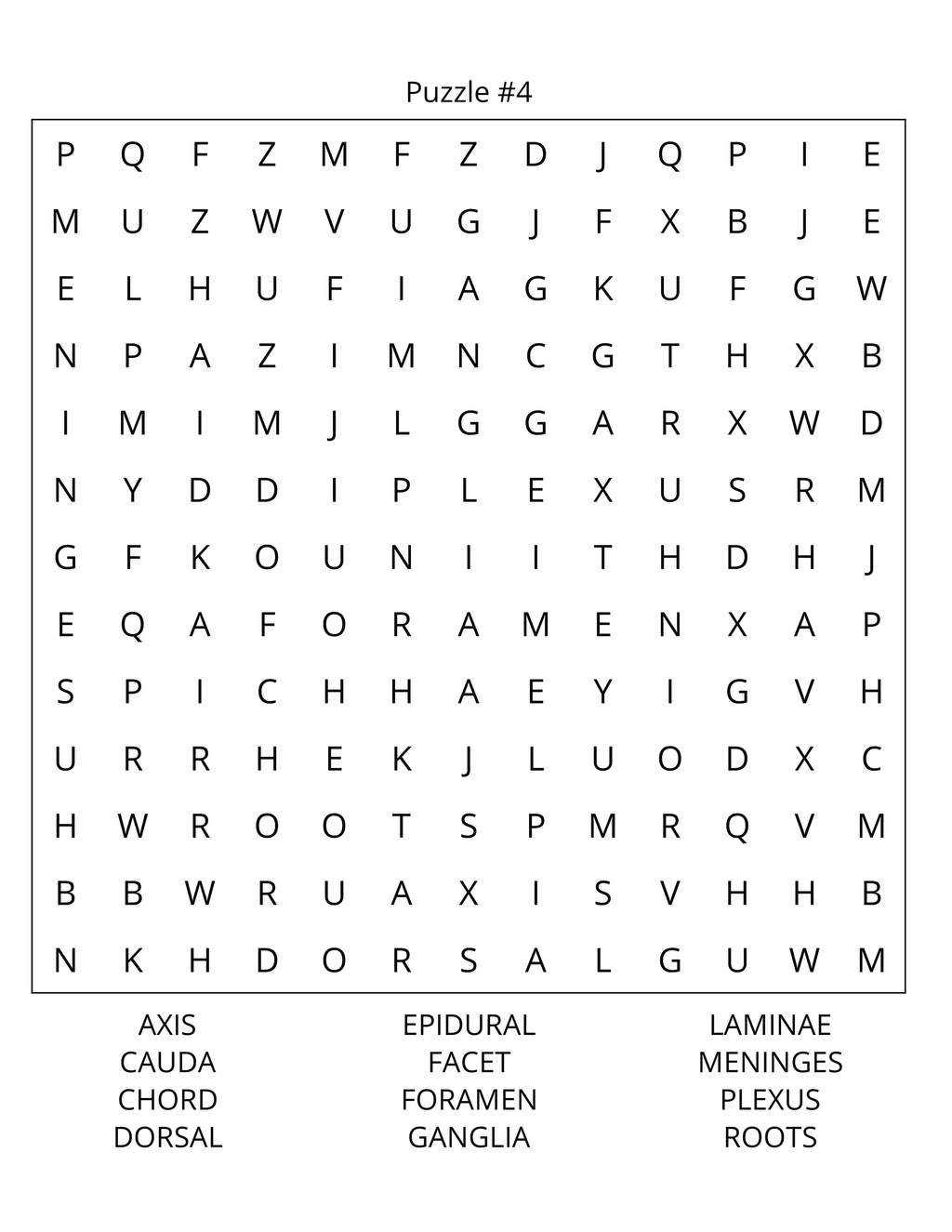 Human Anatomy Word Search: Large Print