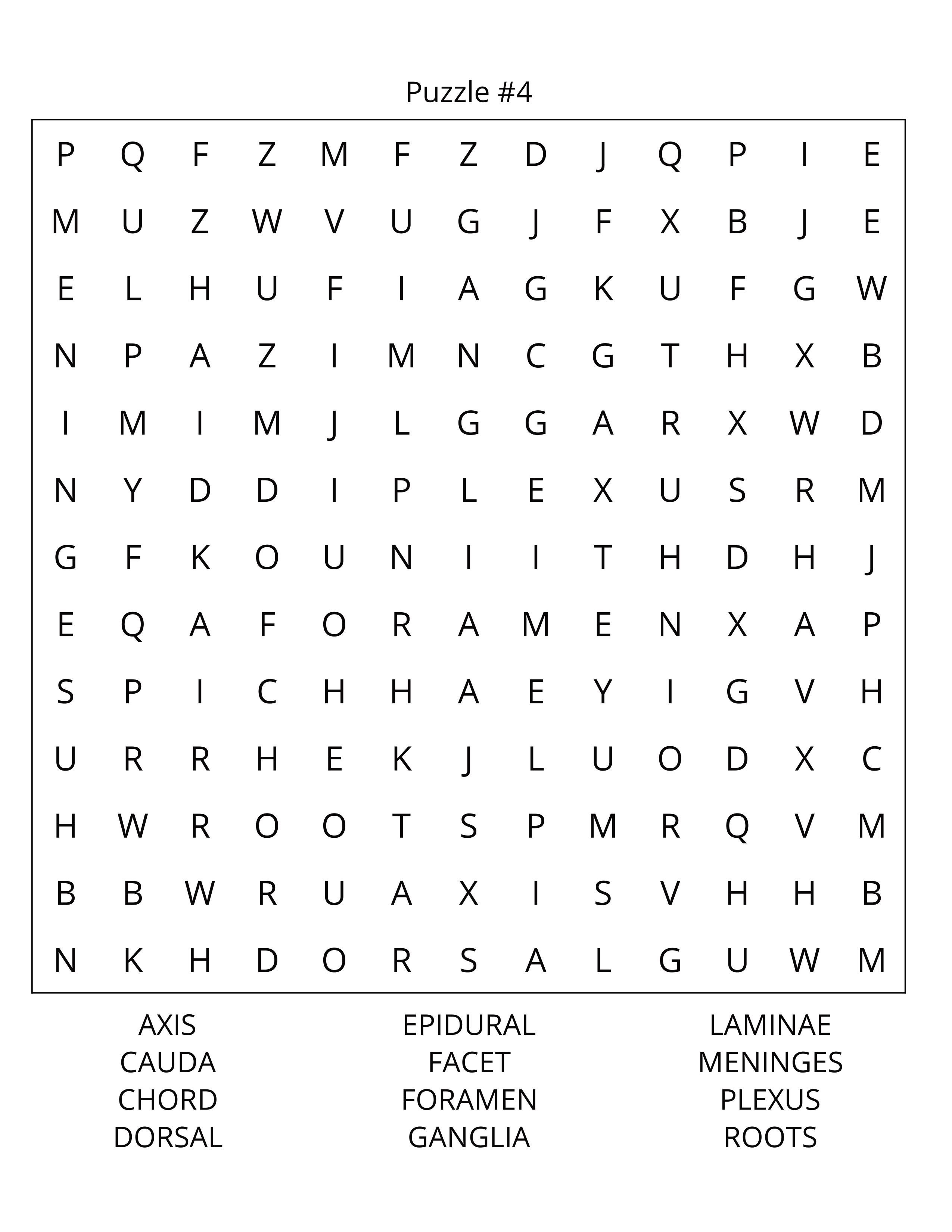 Human Anatomy Word Search: Large Print