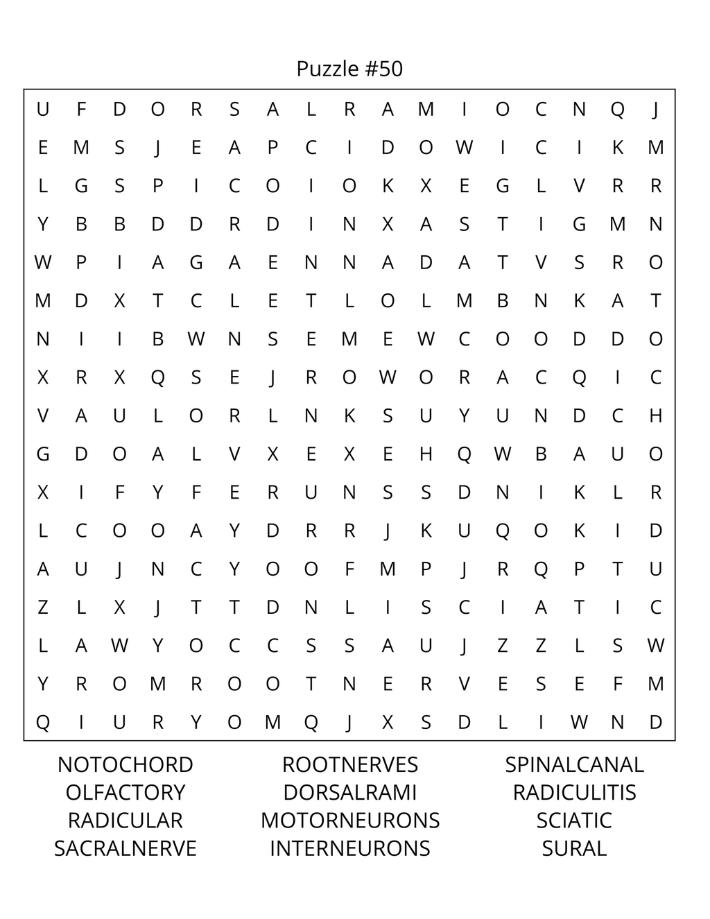 Human Anatomy Word Search: Large Print