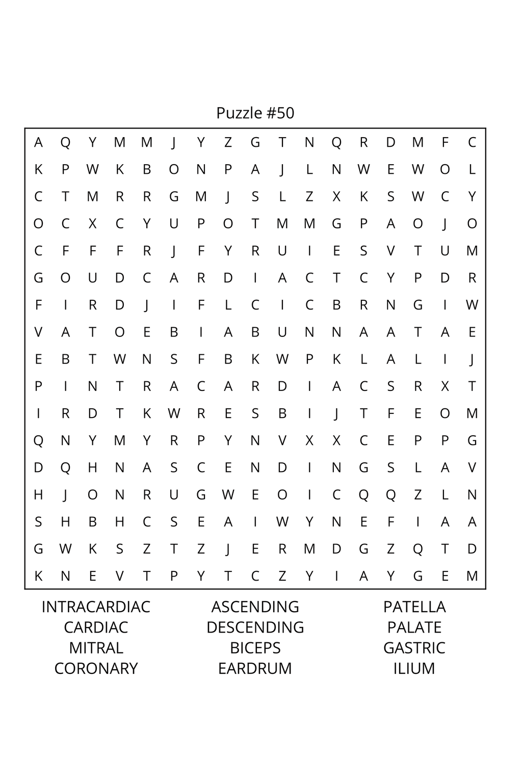 Human Anatomy Word Search: Travel Size