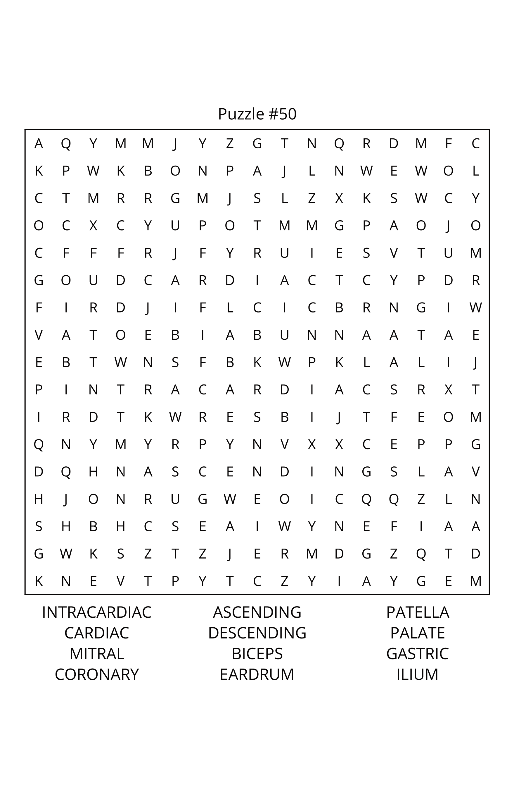 Human Anatomy Word Search: Travel Size