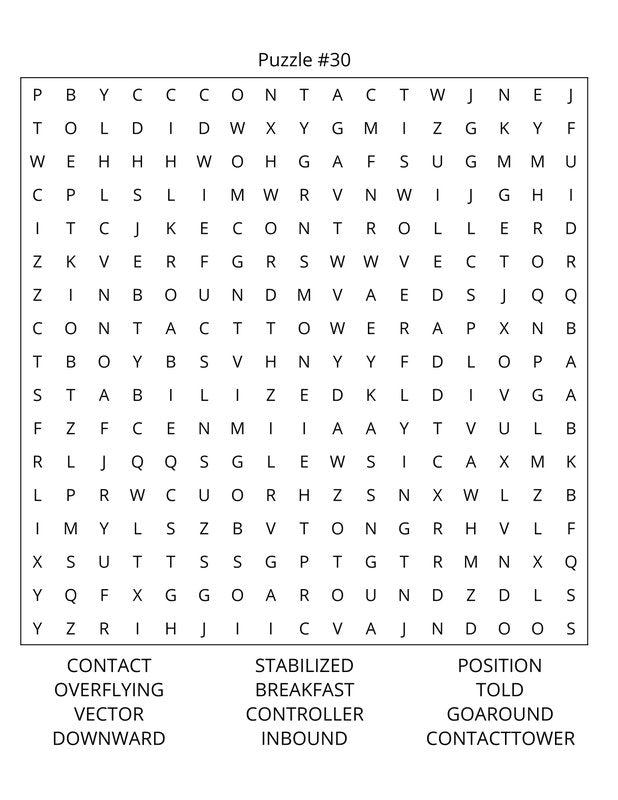Airplane Pilots Word Search: Large Print