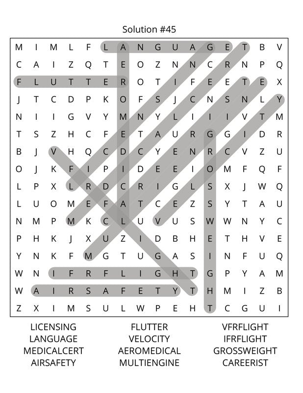Airplane Pilots Word Search: Large Print