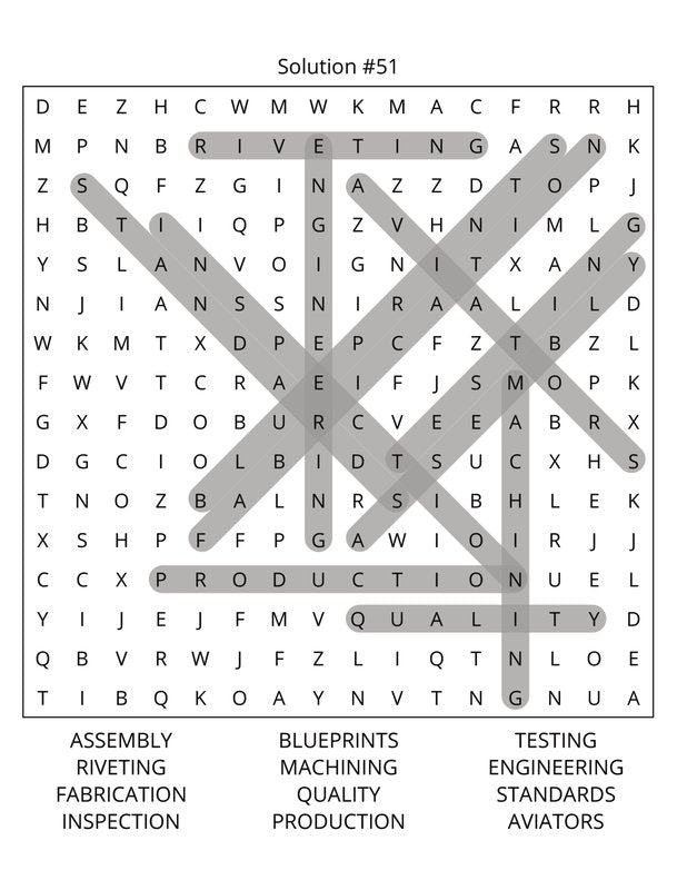 Airplane Pilots Word Search: Large Print