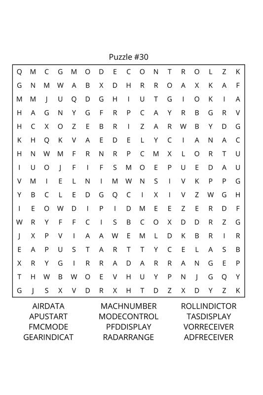 Airplane Pilots Word Search: Travel Size