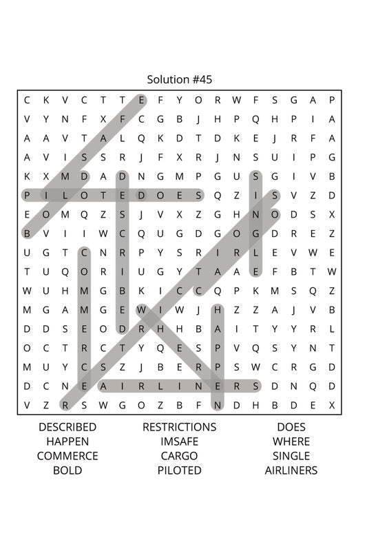 Airplane Pilots Word Search: Travel Size