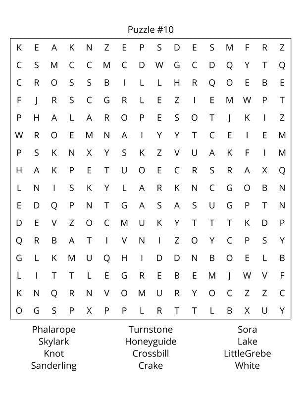 Birds Word Search: Travel Size