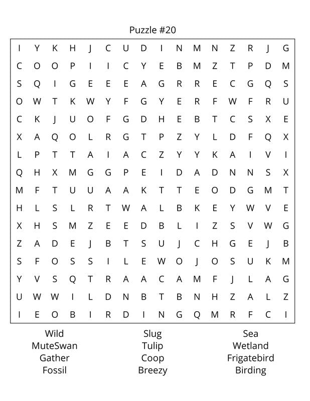 Birds Word Search: Travel Size