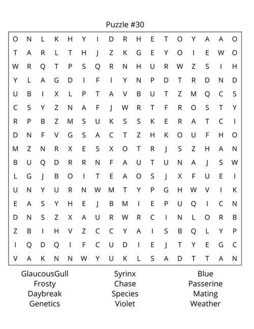 Birds Word Search: Large Print