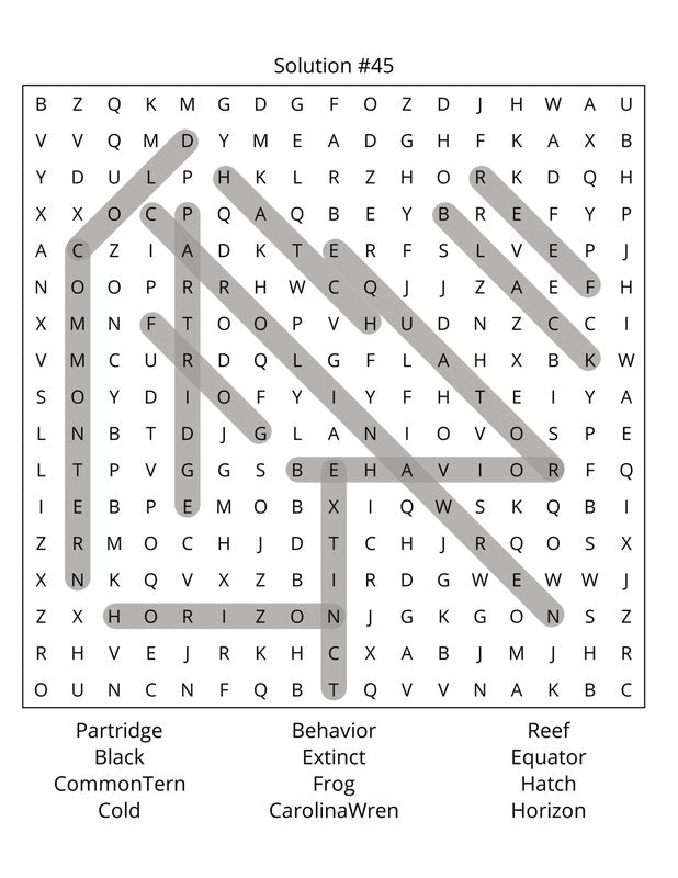 Birds Word Search: Large Print