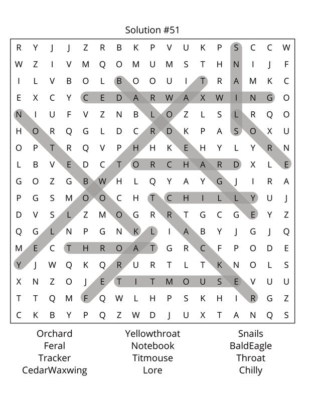 Birds Word Search: Large Print