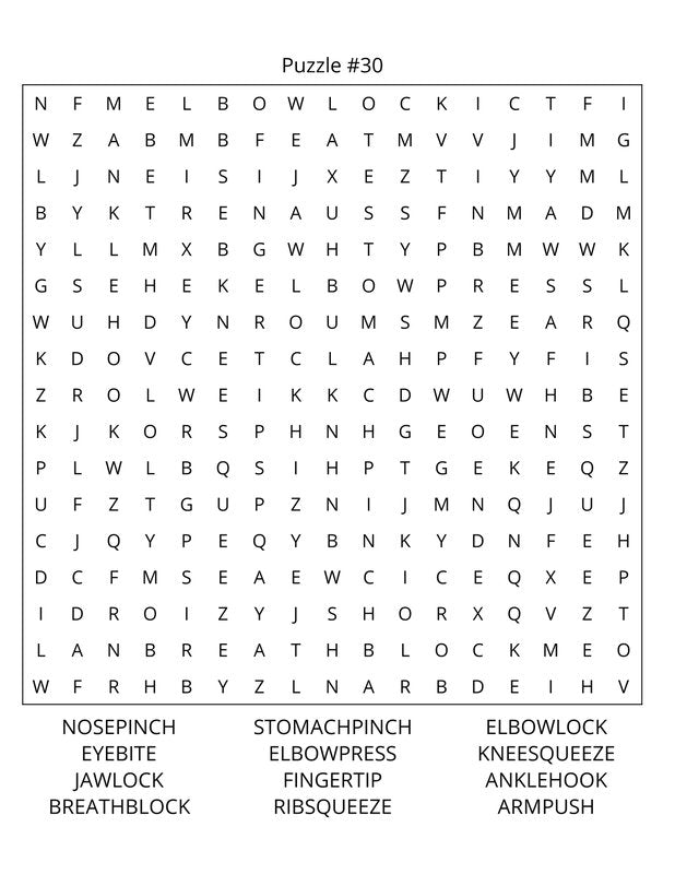 Martial Arts Word Search: Large Print