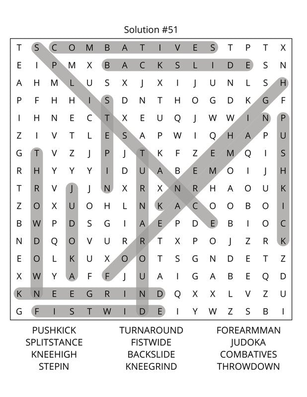 Martial Arts Word Search: Large Print