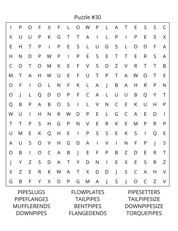 Motorsports Word Search: Large Print