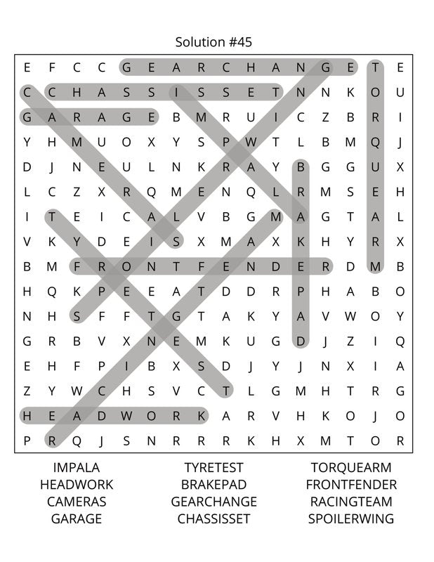 Motorsports Word Search: Large Print