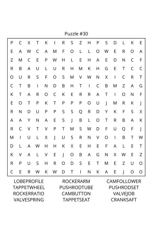Motorsports Word Search: Travel Size