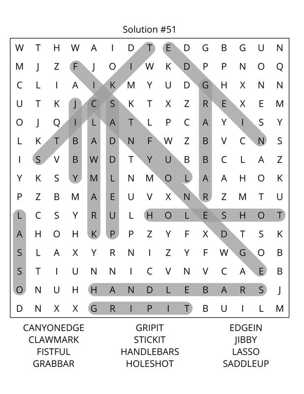 Snowboarding Word Search: Large Print