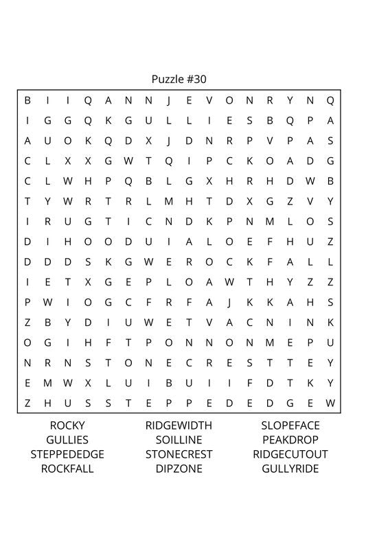 Snowboarding Word Search: Travel Size